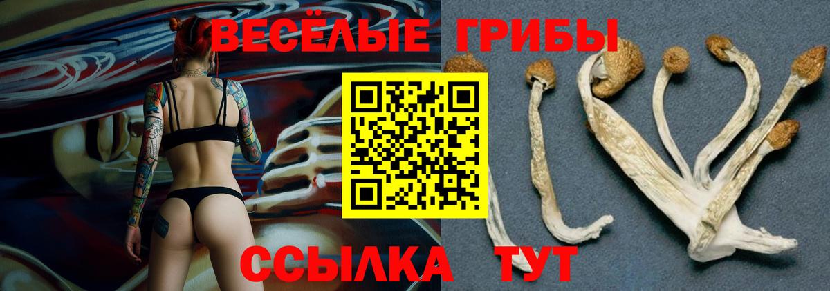 Галлюциногенные грибы мицелий Мыски